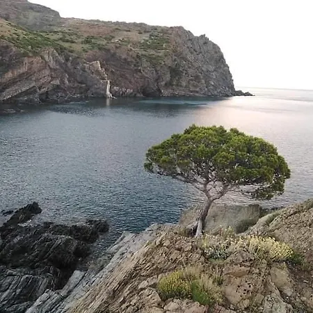 San Jordi Affittacamere