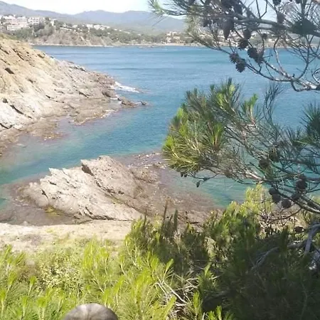 San Jordi Affittacamere *